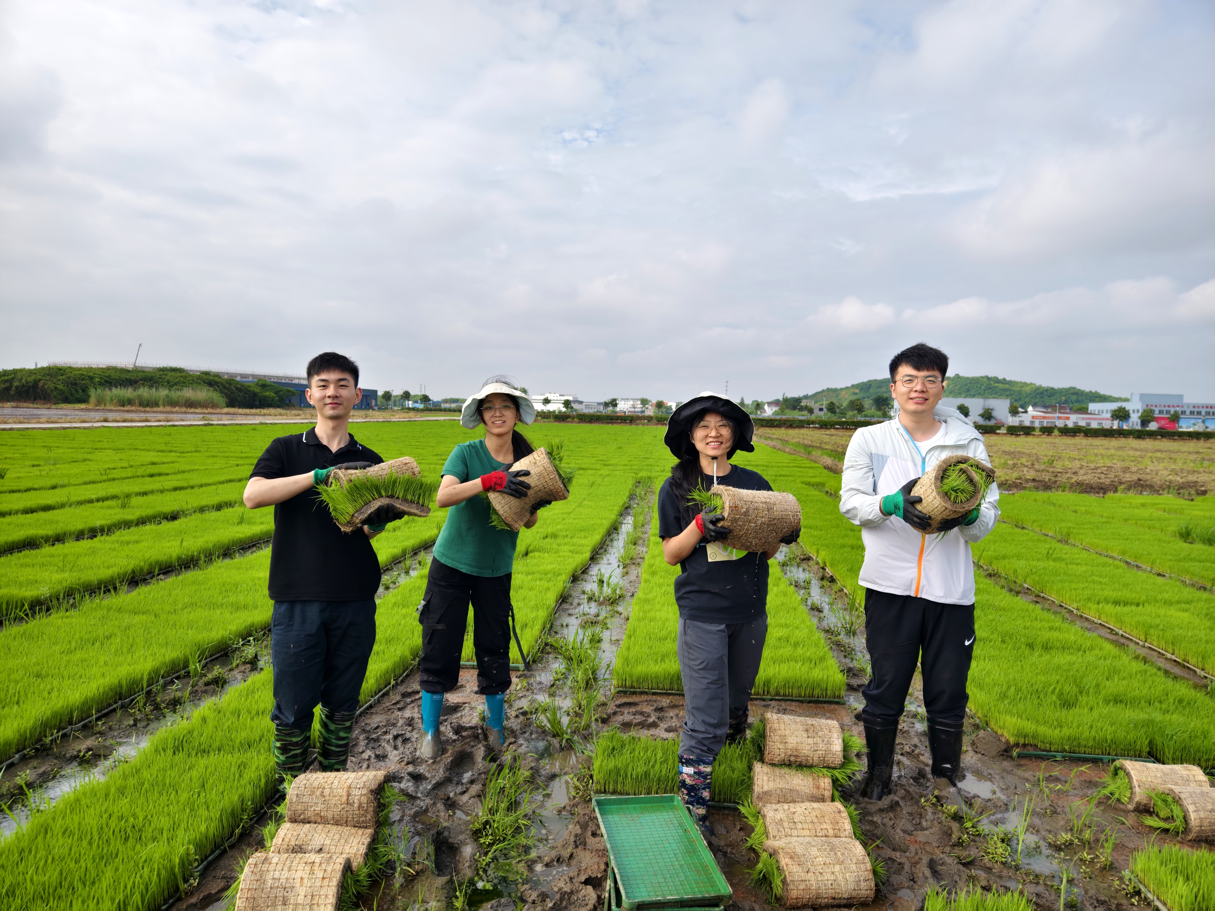 到村任職選調(diào)生在農(nóng)田搬運(yùn)秧盤。（無錫市委組織部 供圖）.jpg